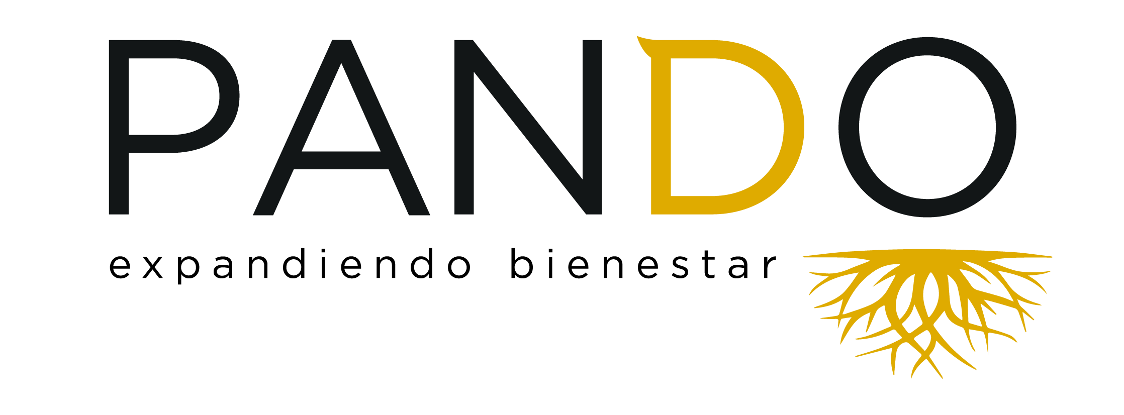 Pando Jabon Artesanal